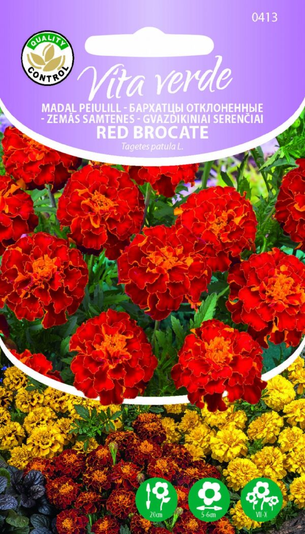 Ryhmäsamettikukka Red Brocate Tagetes patula L
