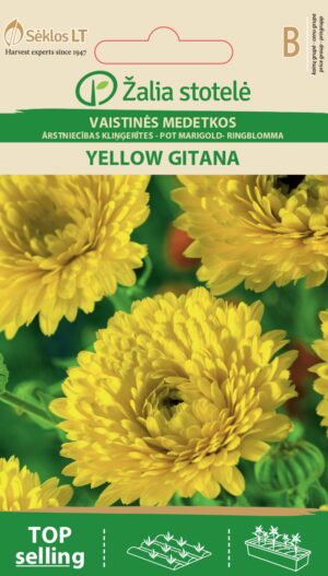 Kehäkukka Yellow Gitana topelt õis Calendula officinalis L