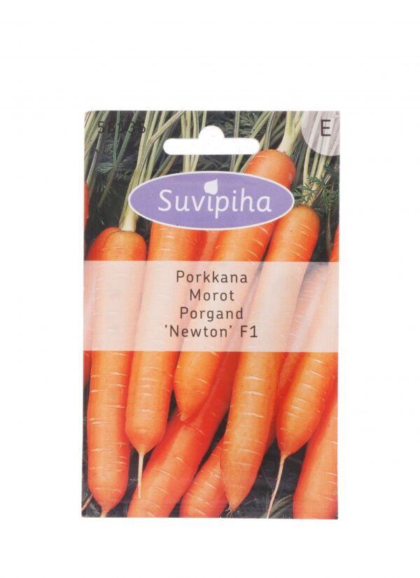 Porkkana Newton/Norfolk F1 keskivarhainen 480s