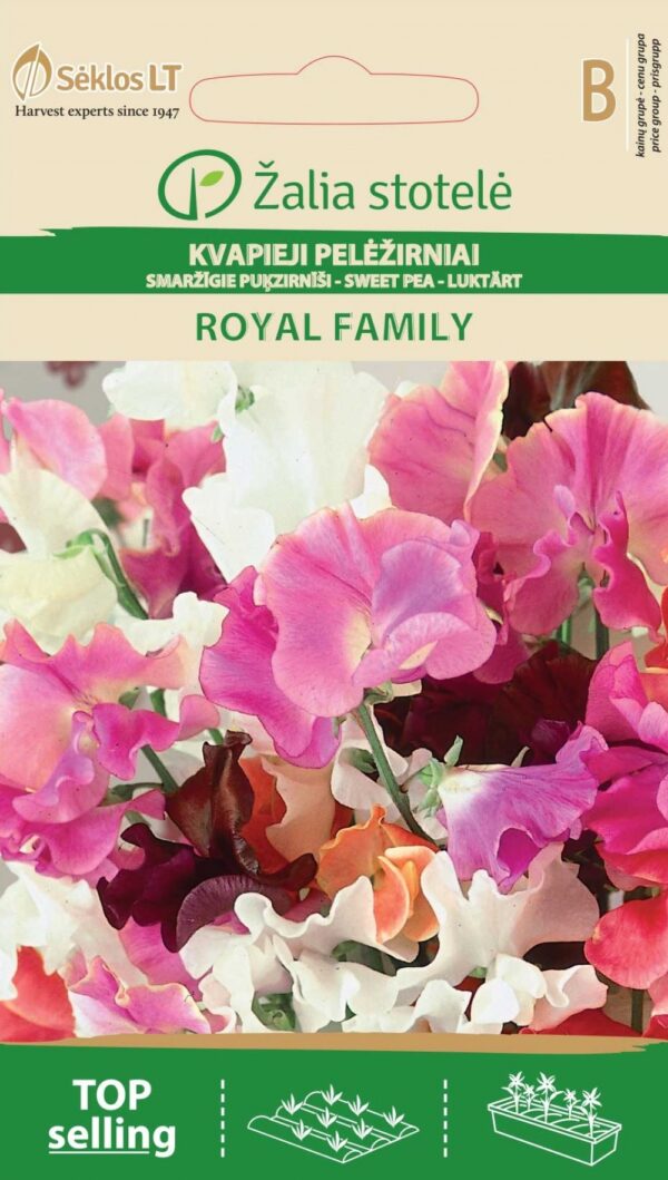 Tuoksuherne Royal Family sekoitus korkea Lathyrus odoratus L
