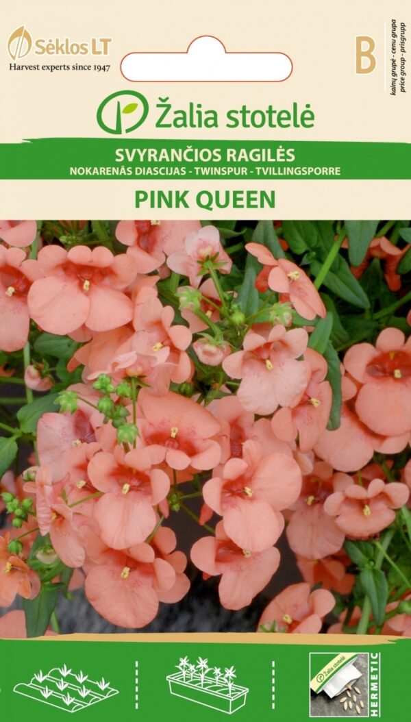 Mätäsdiana Pink Queen Diascia barberae