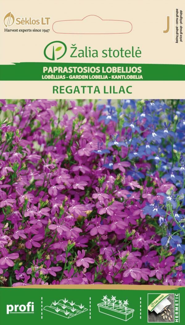 Sinilobelia Regatta Lilac Lobelia erinus L
