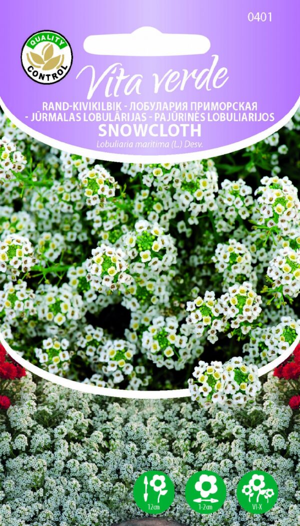 Tuoksupielus Snowcloth Lobularia maritima (L.) Desv