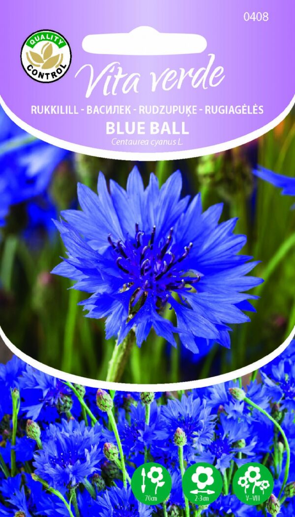 Ruiskukka Blue Ball Centaurea cyanus L