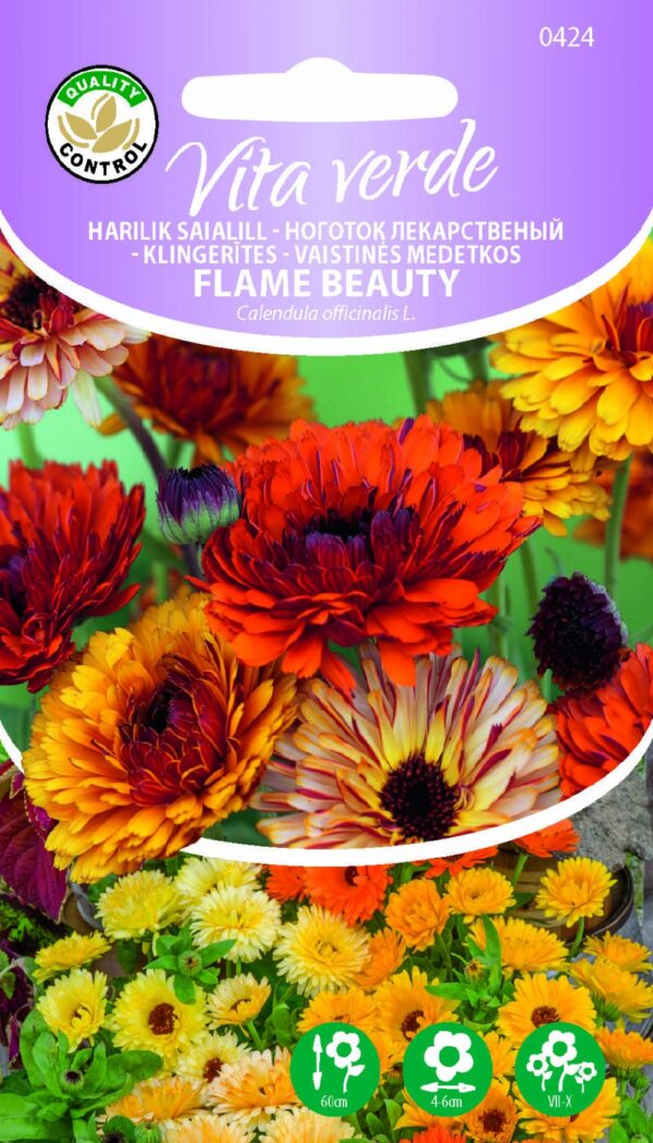 Kehäkukka Flame Beauty Calendula officinalis L