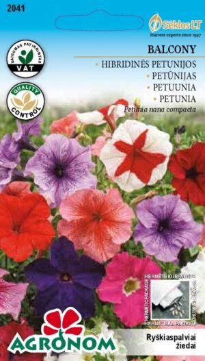 HübriidPetunia Balcony Petunia nana compacta
