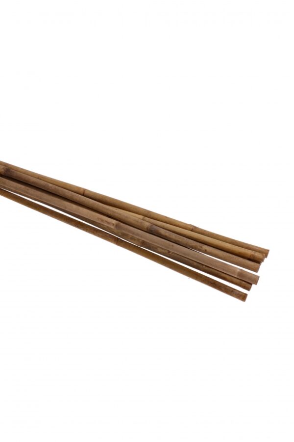 Kasvituki bambua 2,1m 10 kpl