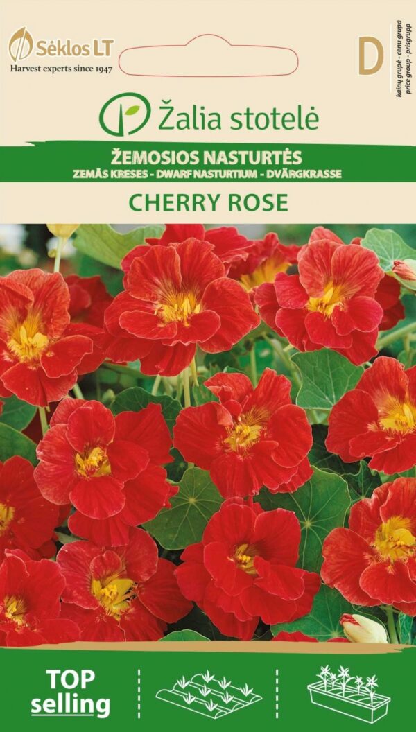 Pikkuköynnöskrassi Cherry Rose Tropaeolum minus L