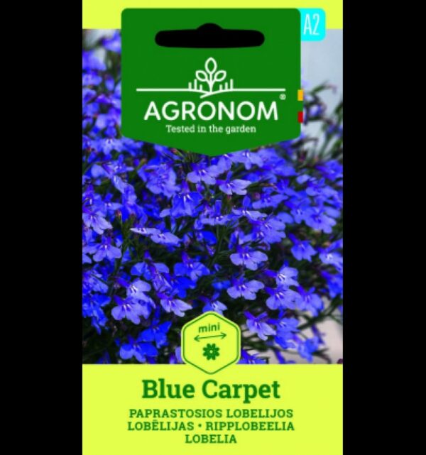 Lobelia Blue Carpet-Lobelia erinus L