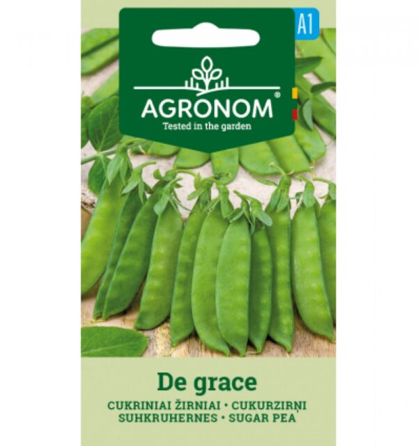 Herne Sugar de Graces-Pisum sativum L.(patrim)