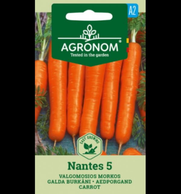 Porkkana NANTES 5 -Daucus carota L