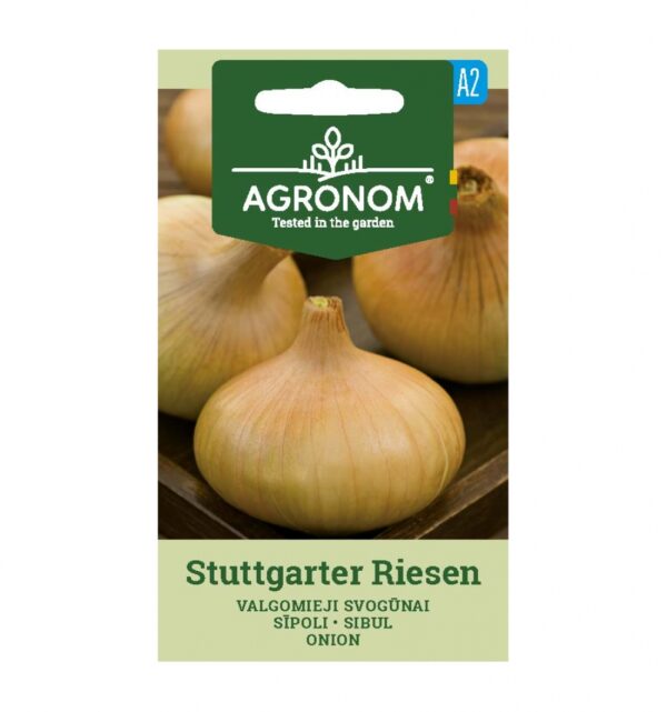 Sipuli Stuttgarter Riesen-Allium cepa L