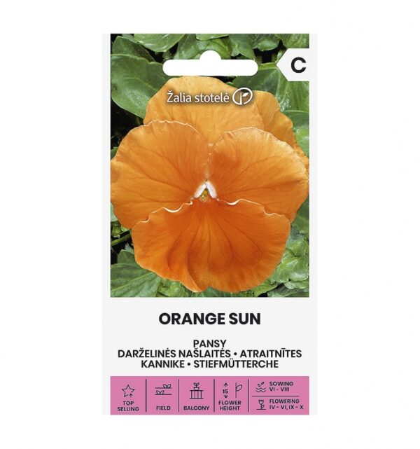 Tarhaorvokki Orange Sun - Viola x wittrockiana C