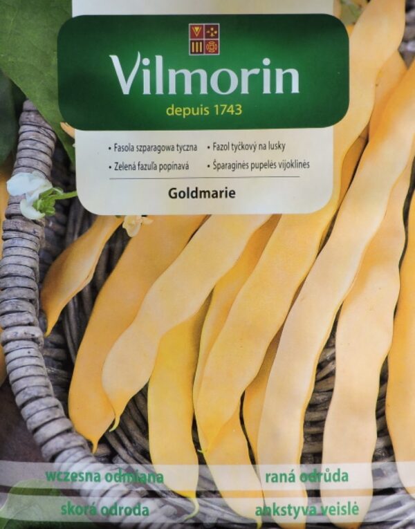 Tarhapapu keltainen Goldmarie Phaseolus vulgaris