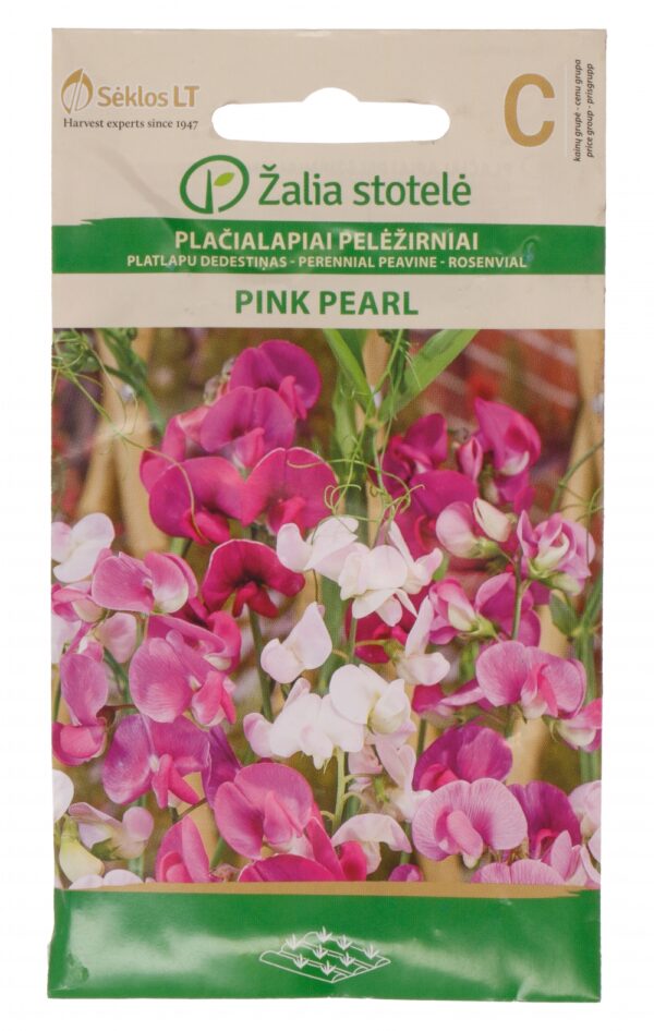 Ruusunätkelmä Pink Pearl sekoitus Lathyrus latifolius L