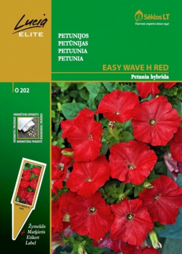 Petunia Easy Wave H Red Petunia hybrida