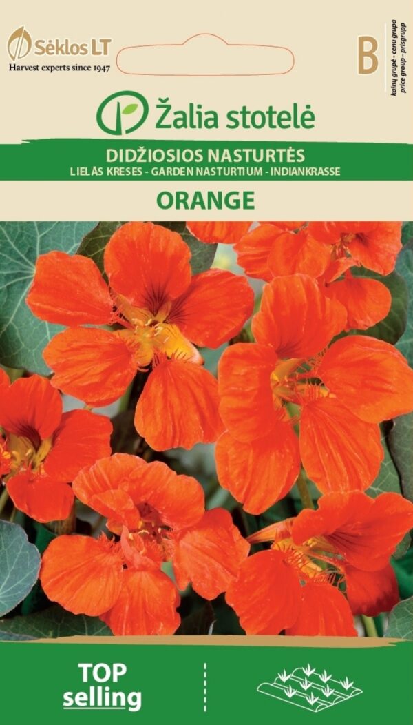 Isoköynnöskrassi Orange Tropaeolum majus L
