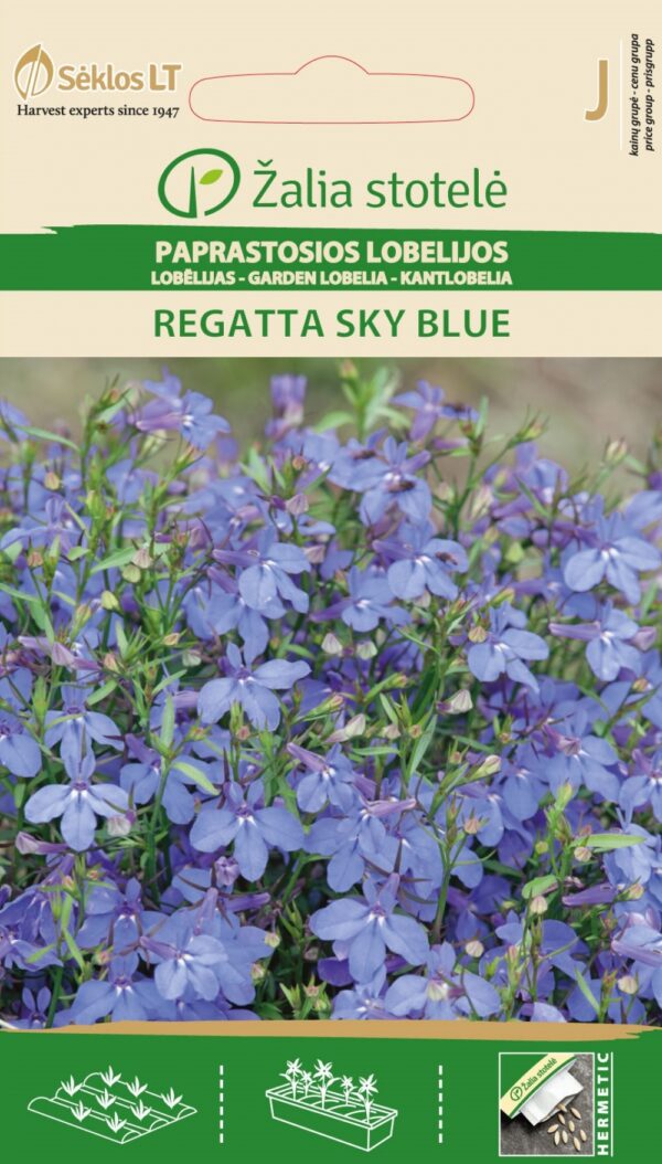 Sinilobelia Regatta Sky Blue Lobelia erinus L